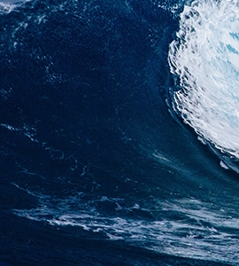 伴你行企业差旅服务管家诚信