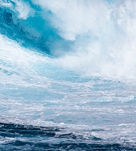 伴你行企业差旅服务管家诚信