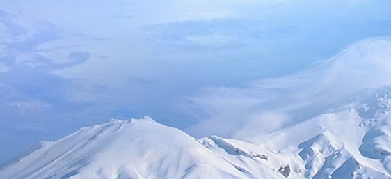 伴你行企业差旅服务管家介绍